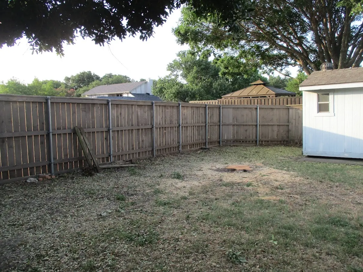 Cleared yard after professional tree removal in Dorchester Center